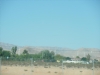 las-vegas-ivana-035