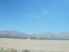 las-vegas-ivana-036