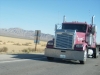 las-vegas-ivana-038